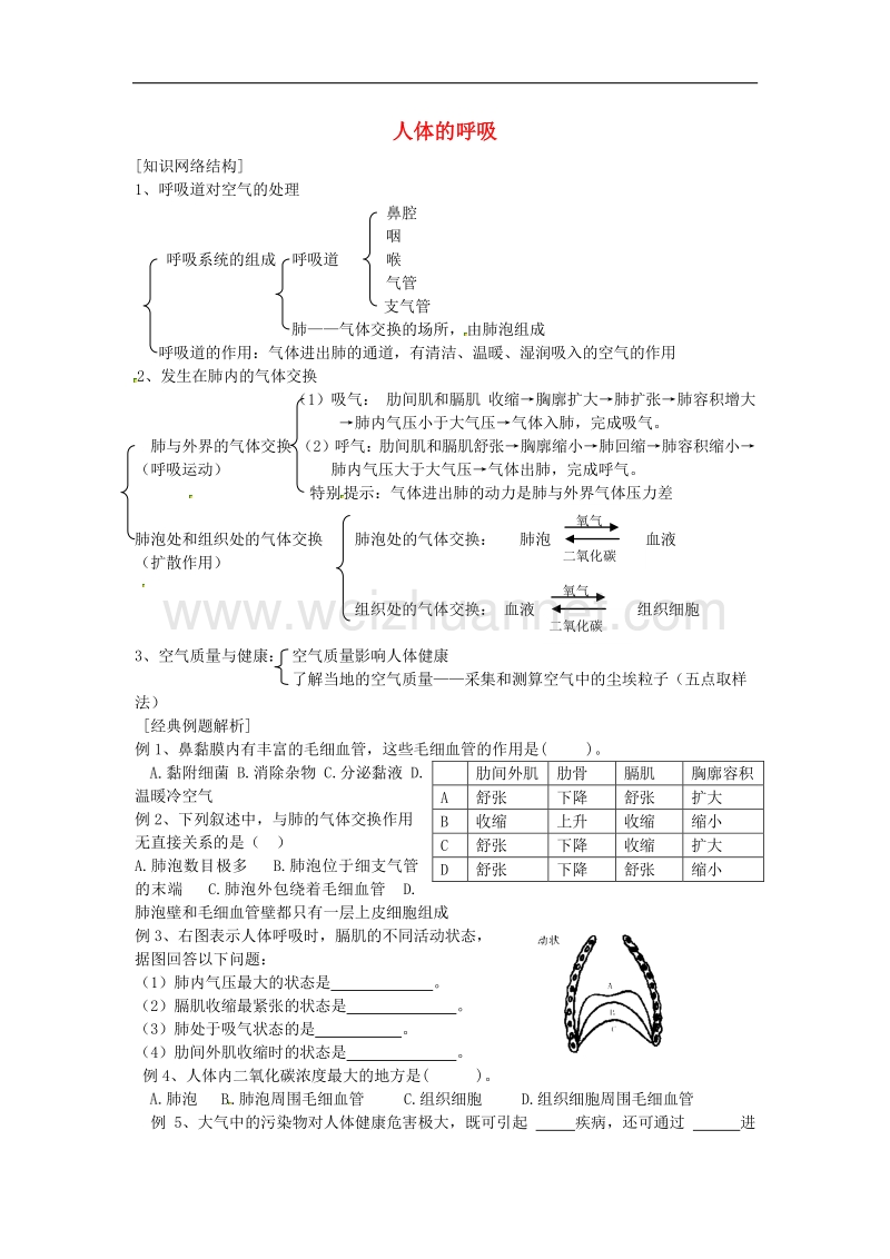 2018年江苏省徐州市铜山区马坡镇中心中学七年级生物上册 3.7.2 人体的呼吸学案（无答案）（新版）苏科版.doc_第1页