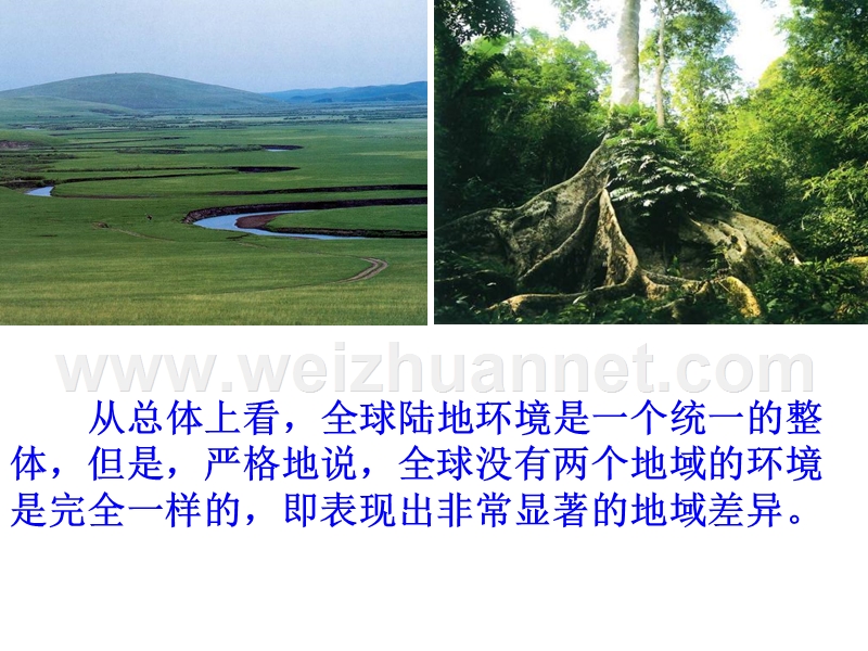 第二节自然地理环境的差异性(必修1第五章).ppt_第2页