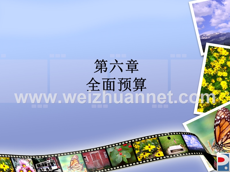 第一节全面预算概述.ppt_第1页