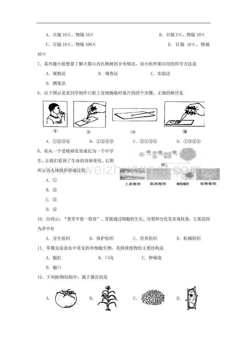 安徽省合肥市2017_2018学年度七年级生物上学期期中试题新人教版.doc_第2页