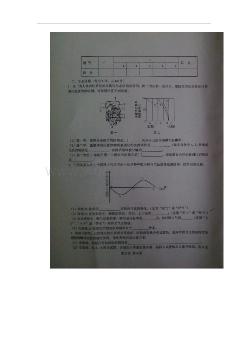 山东省邹城市第三中学2015-2016学年度七年级下学期期中考试生物试题（图片版）.doc_第3页