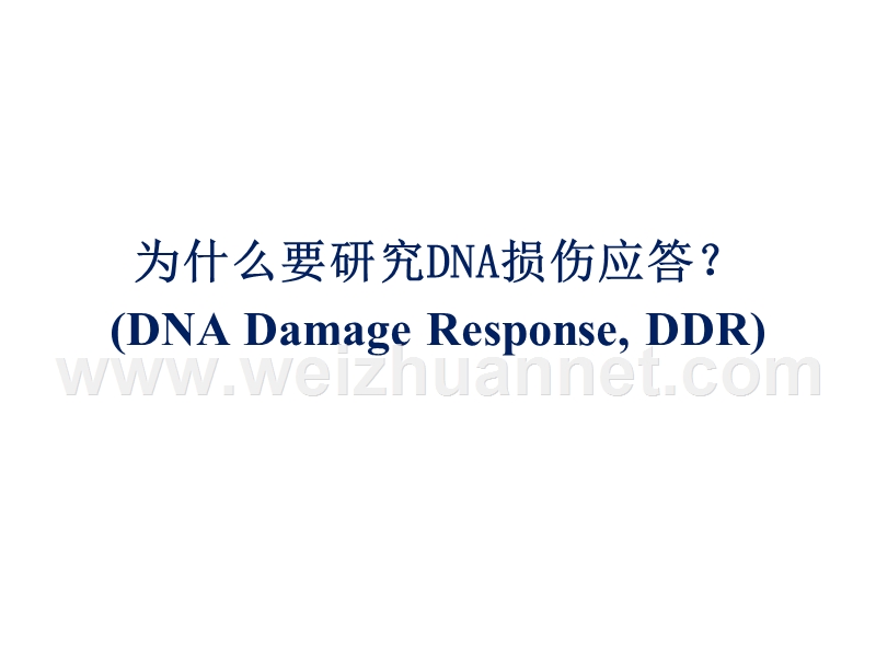 第五章-dna损伤与修复.ppt_第3页