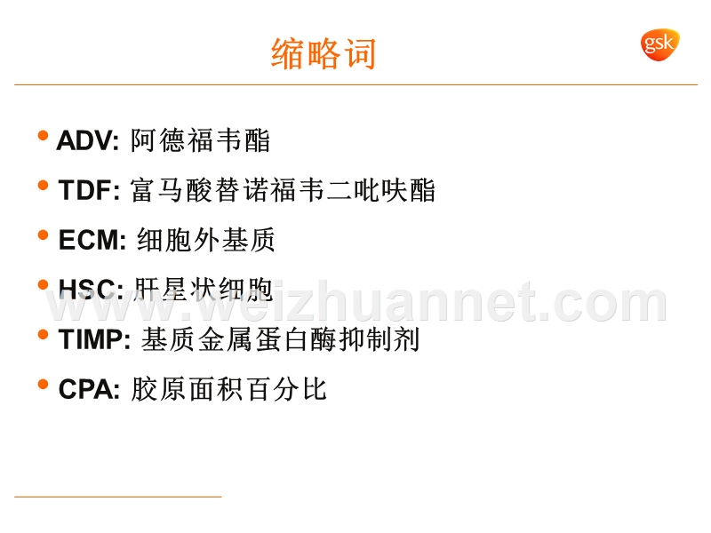 肝组织学逆转能否实现.ppt_第2页