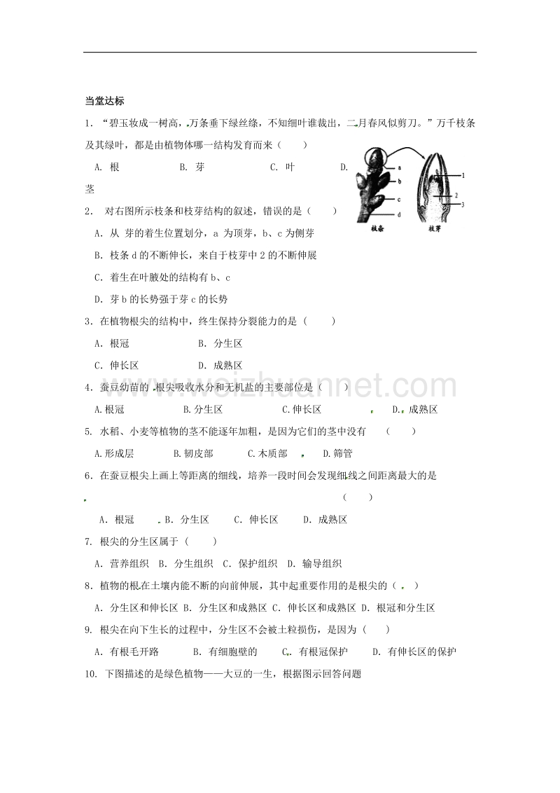 2018年山东省临沂市七年级生物上册3.2.2植株的生长学案（无答案）（新版）新人教版.doc_第2页