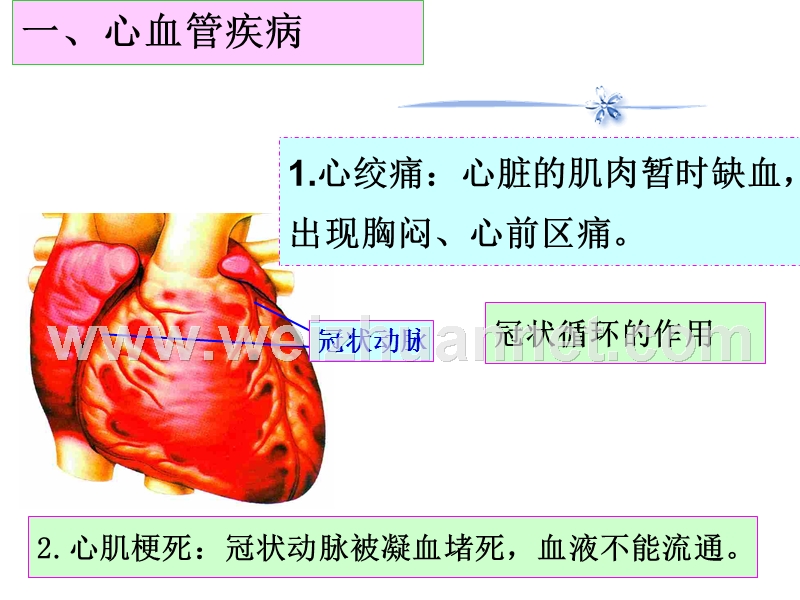 第十八章第二节--威胁健康的主要疾病(共22张ppt).ppt_第2页