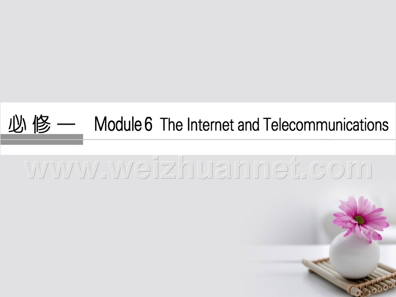 2018版高考英语大一轮复习 第1部分 基础知识考点 module 6 the internet and telecommunications课件 外研版必修1.ppt_第1页