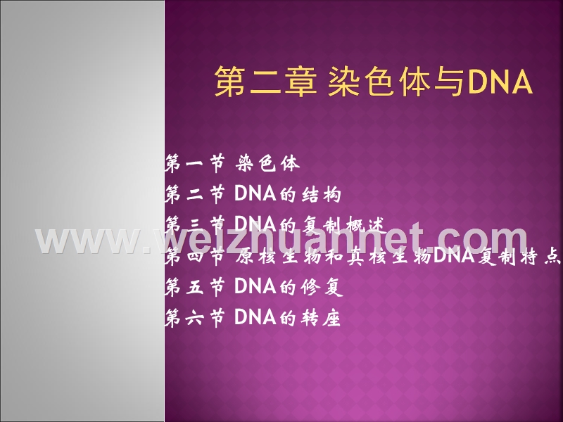 第二章1-染色体与dna.ppt_第1页