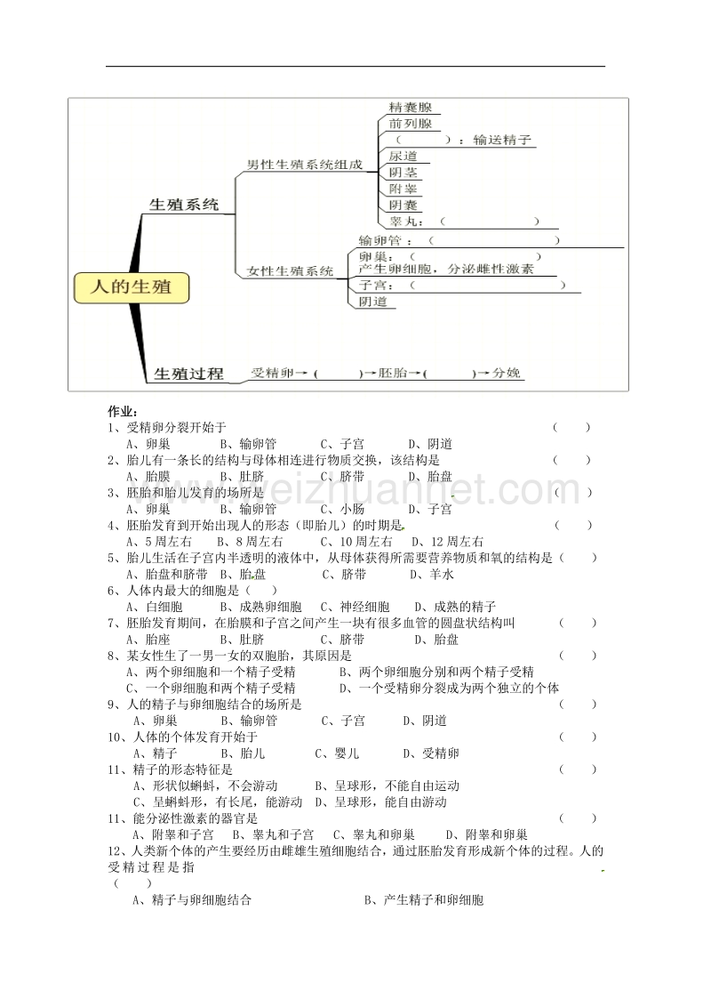 2018年广东省化州市第一初级中学七年级生物下册 第一章 人的由来导学案（无答案） 新人教版.doc_第3页