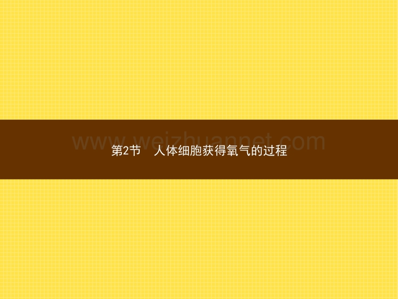 2015-2016学年度七年级下生物北师大版课件：10.2 人体细胞获得氧气的过程.pptx_第1页