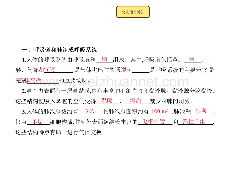 2015-2016学年度七年级下生物北师大版课件：10.2 人体细胞获得氧气的过程.pptx_第2页