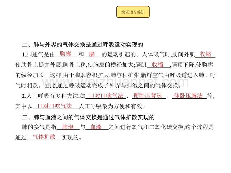 2015-2016学年度七年级下生物北师大版课件：10.2 人体细胞获得氧气的过程.pptx_第3页