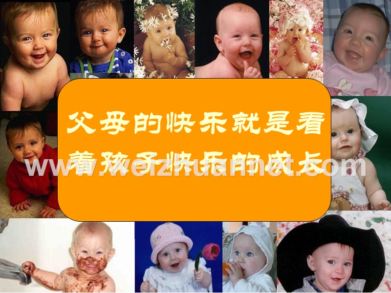 鑫利产品.ppt_第3页