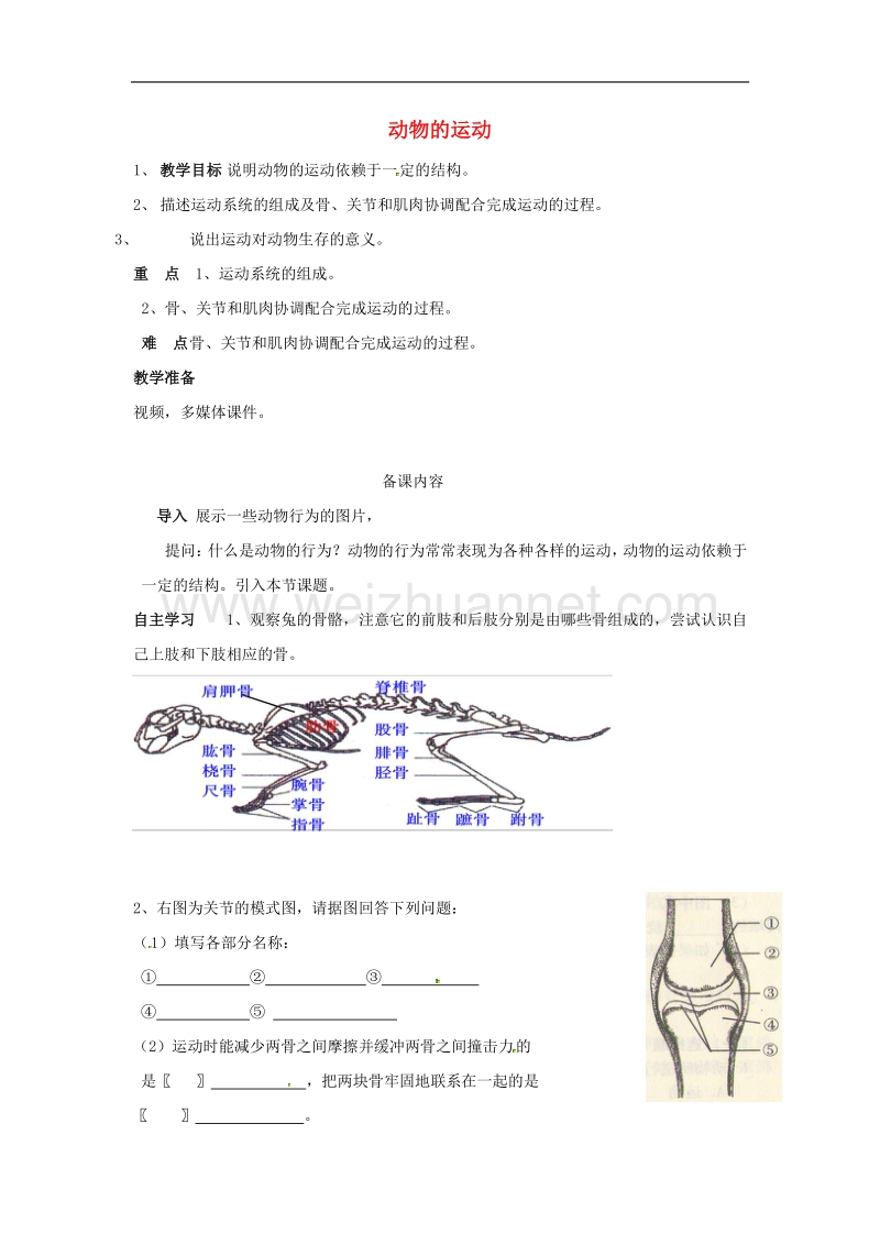 2018年天津市八年级生物上册5.2.1动物的运动导学案（无答案）（新版）新人教版.doc_第1页