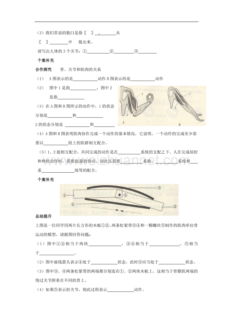 2018年天津市八年级生物上册5.2.1动物的运动导学案（无答案）（新版）新人教版.doc_第2页