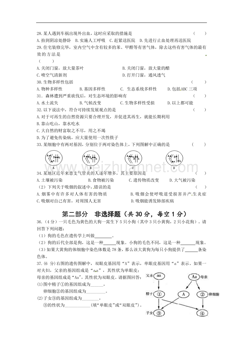 江苏省靖江市靖城中学2015-2016学年度八年级下学期第一次独 立作业生物试题.doc_第3页