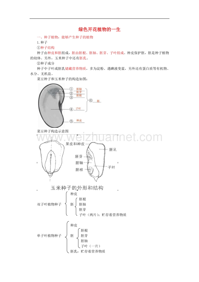 2017版中考生物复习绿色开花植物的一生知识点总结新人教版.doc_第1页