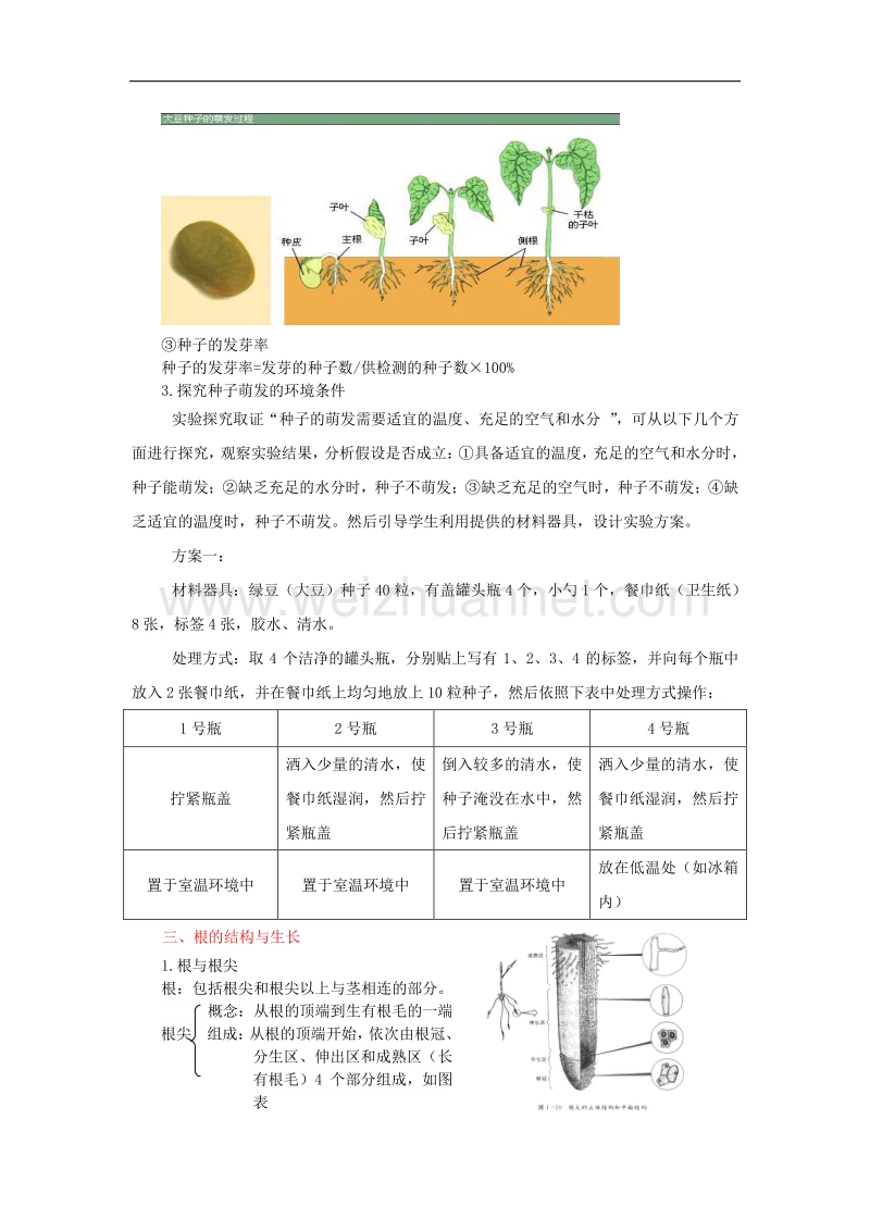 2017版中考生物复习绿色开花植物的一生知识点总结新人教版.doc_第3页