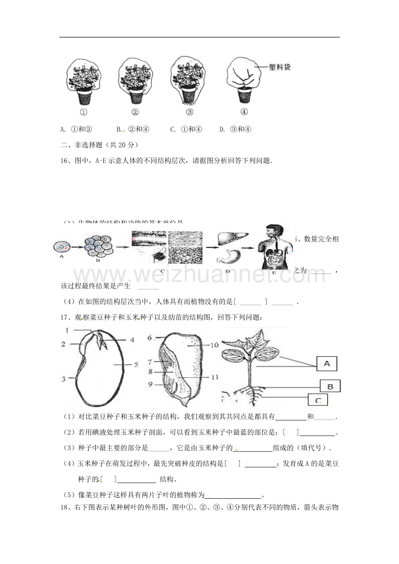 北京市昌平区2018版九年级生物上学期期中试题新人教版.doc_第3页