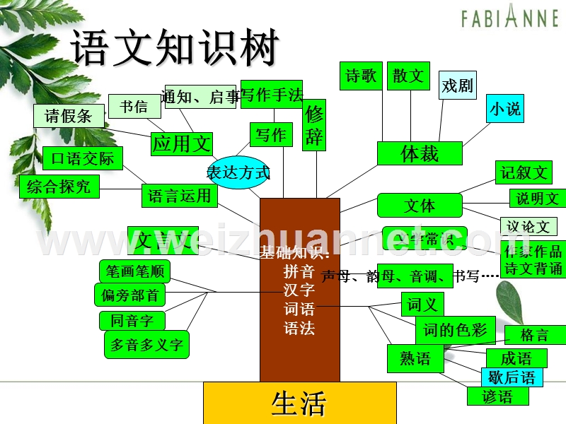 语文知识归纳.ppt_第2页