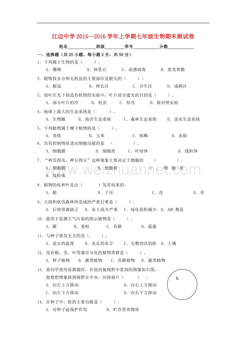 云南省弥勒县江边中学2015-2016学年度七年级生物上学期期末试题（无答案） 新人教版.doc_第1页