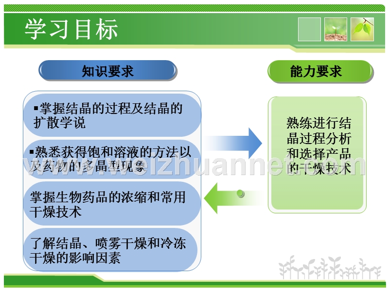 第十一章-结晶与成品干燥技术.ppt_第3页