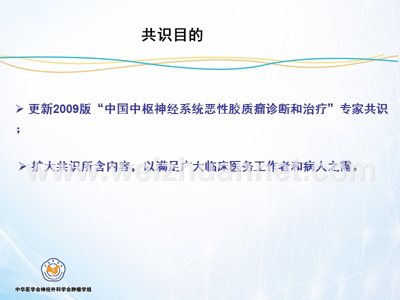 胶质瘤治疗指南-2012.ppt_第2页