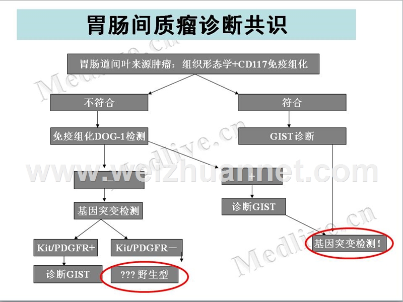 胃肠间质瘤治疗共识与争议.ppt_第3页