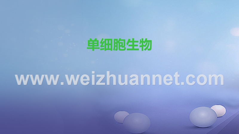2016_2017学年七年级生物上册2.2.4单细胞生物课件新版新人教版20170808326.ppt_第1页