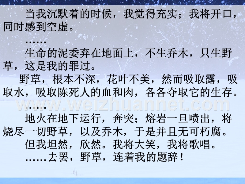 四川省大英县育才中学人教版高一语文必修三课件：2 祝福（共25张ppt）.ppt_第2页