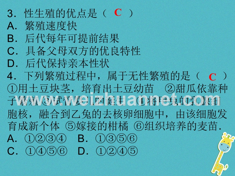 2017_2018学年八年级生物下册7.1生物的生殖和发育综合检测课件新版新人教版.ppt_第3页