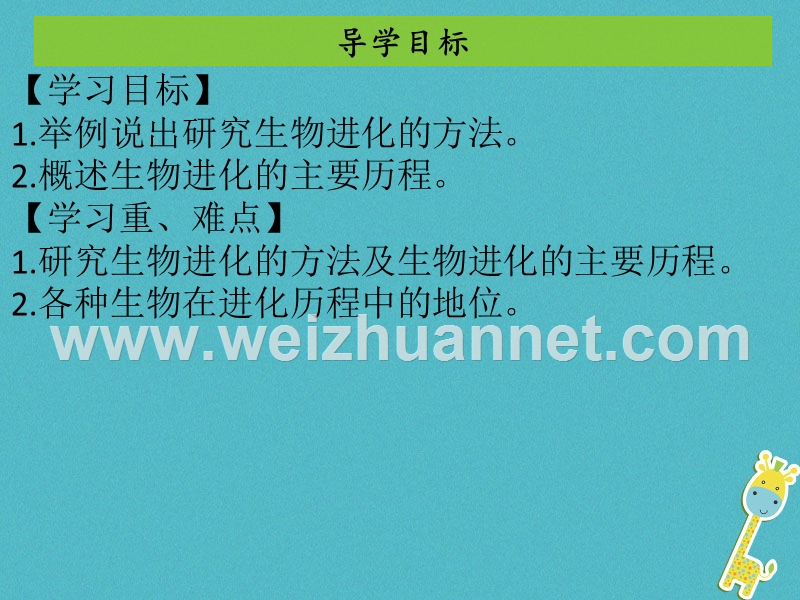 2017_2018学年八年级生物下册7.3.2生物进化的历程课件新版新人教版.ppt_第2页