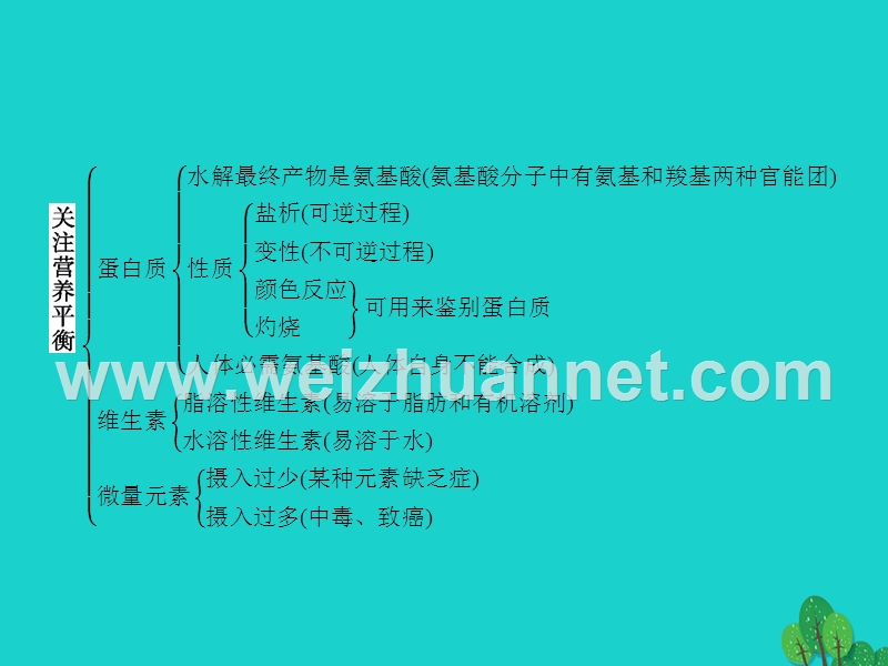 2017_2018学年高中化学第一章关注营养平衡整合课件新人教版选修120170823443.ppt_第3页