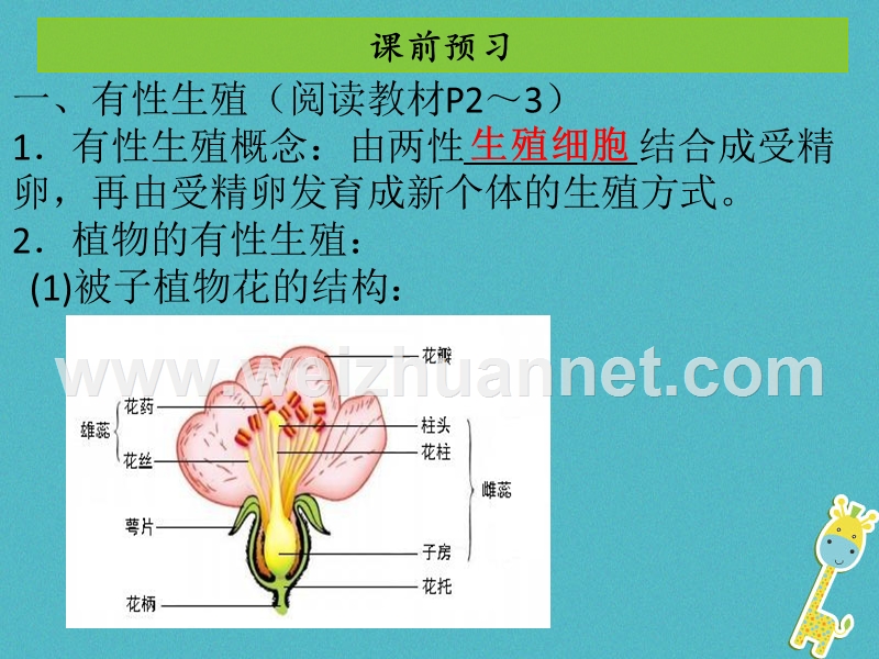 2017_2018学年八年级生物下册7.1.1植物的生殖课件新版新人教版2018020536.ppt_第3页