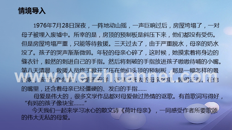 2016年秋季版七年级语文上册7荷叶母亲课件新人教版20170811115.ppt_第2页