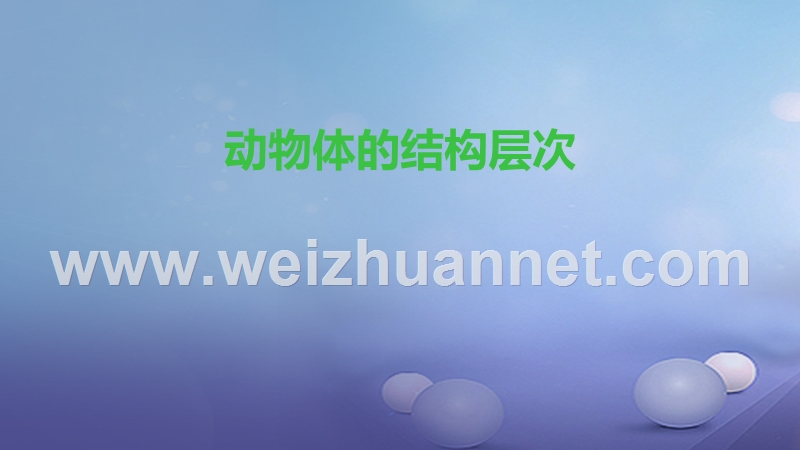2016_2017学年七年级生物上册2.2.2动物体的结构层次课件新版新人教版20170808320.ppt_第1页