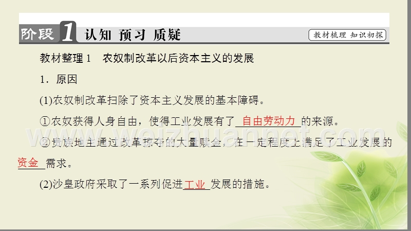 2017_2018学年高中历史第七章俄国农奴制度改革3农奴制改革对俄国近代化进程的影响课件北师大版选修1201708140186.ppt_第3页