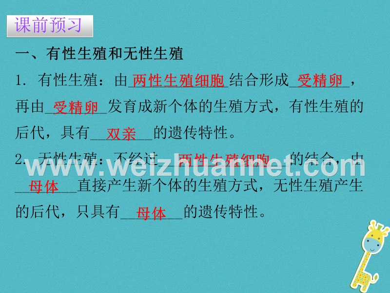 2017_2018学年八年级生物下册7.1.1植物的生殖课件新版新人教版2018020537.ppt_第3页