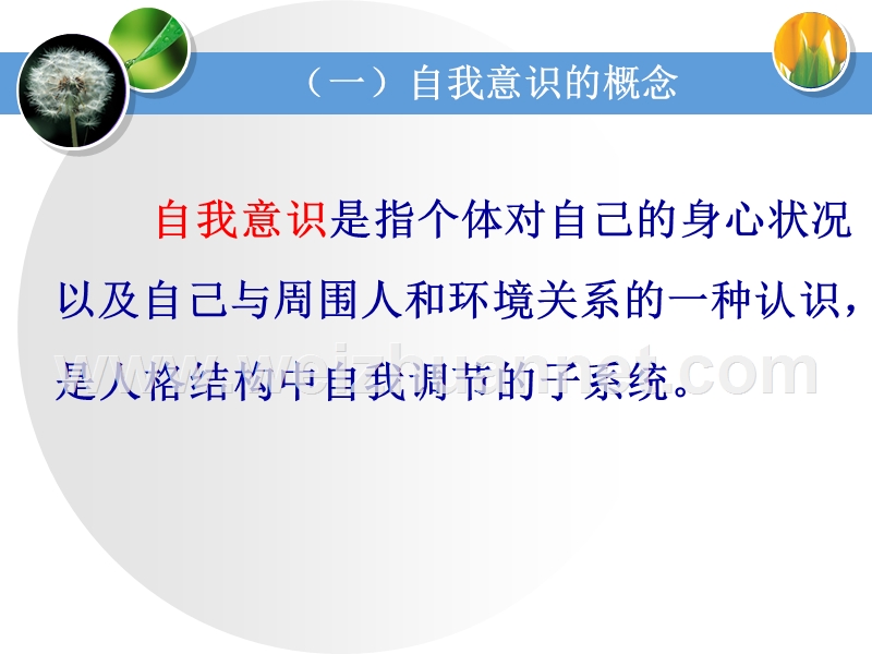 第九讲-中学生自我意识辅导.ppt_第3页