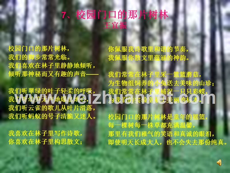 2015年六年级语文上册《校园门口的那片树林》课件3 语文a版.ppt_第3页