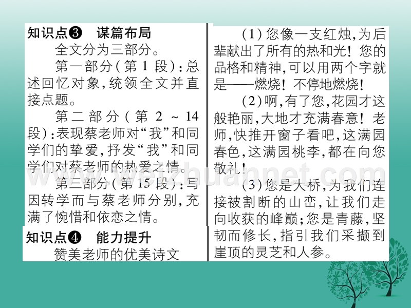 2017年七年级语文下册 第1单元 3 我的老师课件 苏教版.ppt_第3页