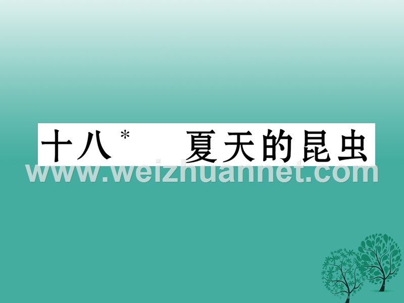 2017年七年级语文下册 第4单元 18 夏天的昆虫课件 苏教版.ppt_第1页