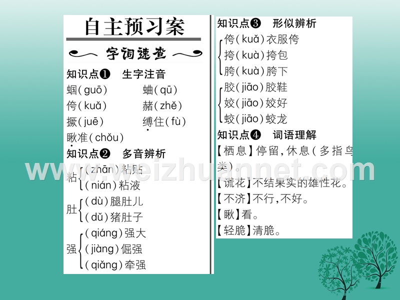 2017年七年级语文下册 第4单元 18 夏天的昆虫课件 苏教版.ppt_第2页