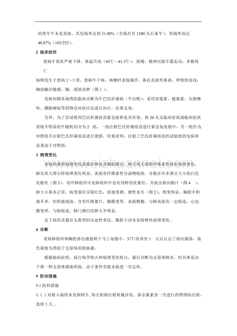 一起群发性奶牛支原体肺炎的诊疗总结.doc_第2页