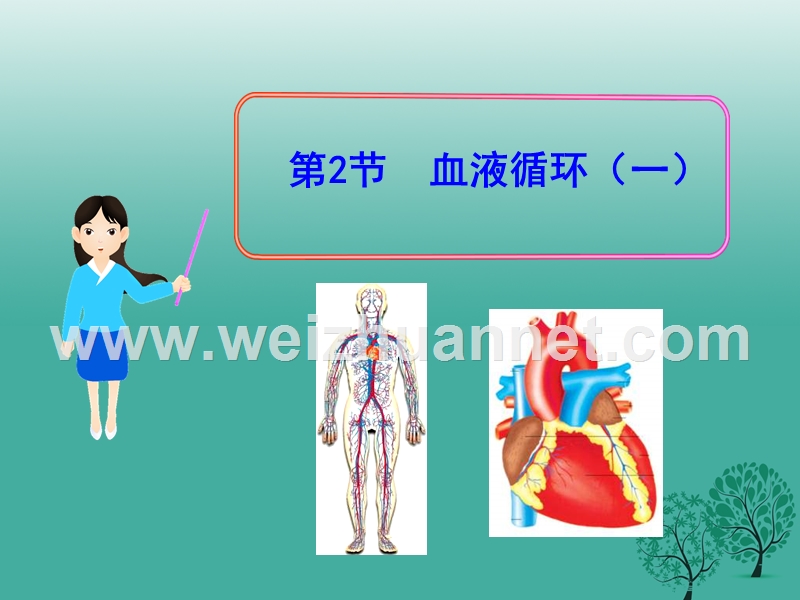 2017年春七年级生物下册 第9章 第2节《血液循环》（第1课时）课件 （新版）北师大版.ppt_第1页