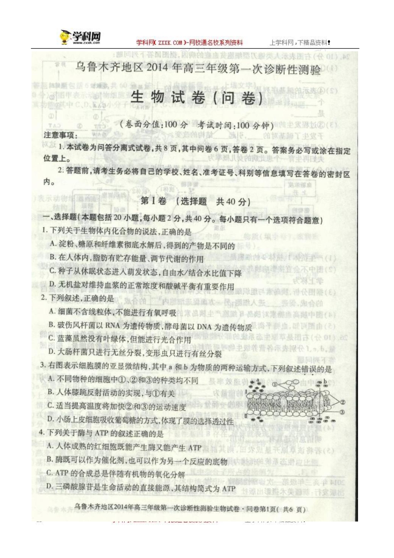 乌鲁木齐地区2014届高三第一次诊断性测验生物试题.doc_第1页