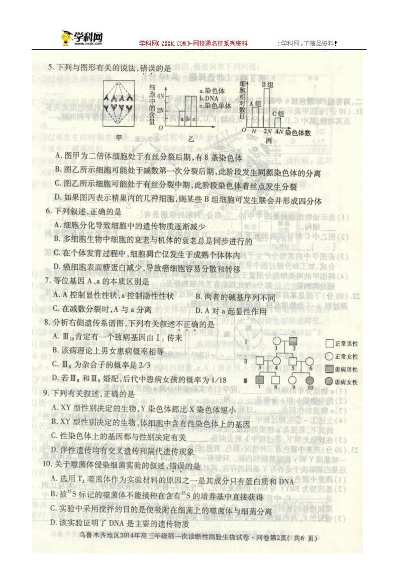 乌鲁木齐地区2014届高三第一次诊断性测验生物试题.doc_第2页