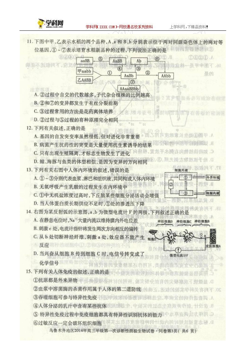 乌鲁木齐地区2014届高三第一次诊断性测验生物试题.doc_第3页