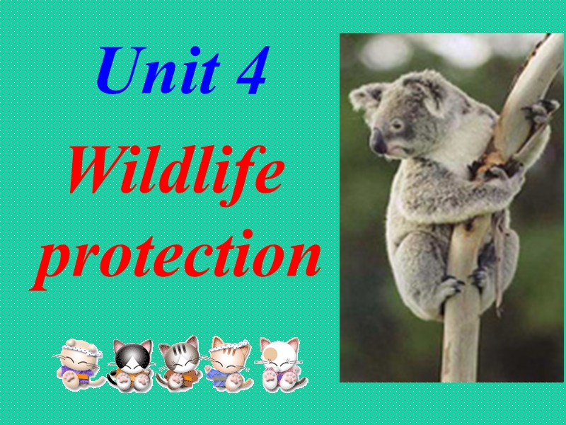 《wildlifeprotection》课件13（新人教必修2）.ppt_第1页