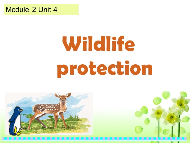 《wildlifeprotection》课件14（新人教必修2）.ppt_第1页