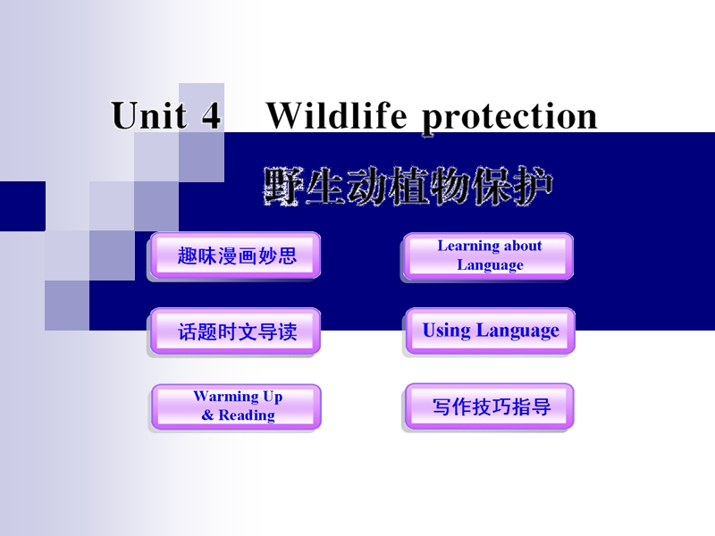 英语：unit4《wildlife protection》（新人教版必修2）.ppt_第1页